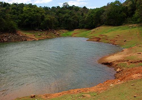 Darpana Homestay Munnar Bagian luar foto