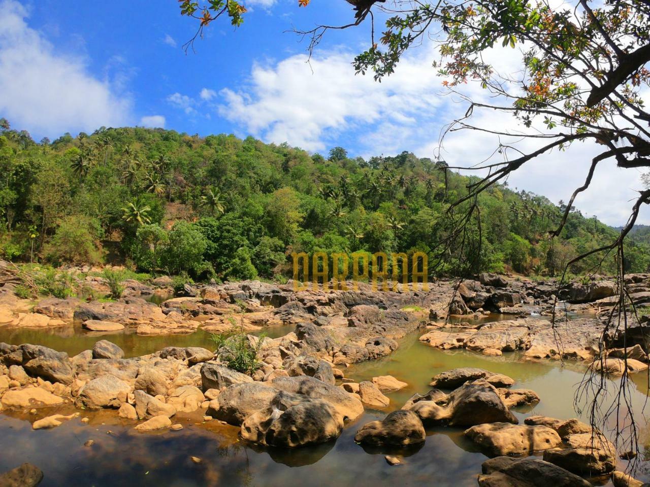 Darpana Homestay Munnar Bagian luar foto